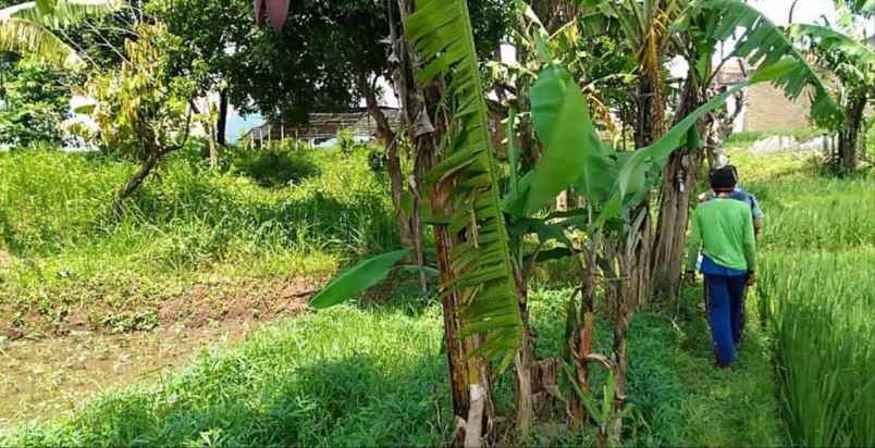 dijual tanah jl raya cicalengka nagreg