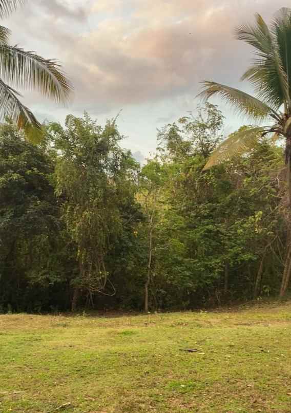 dijual tanah jl raya denpasar gilimanuk