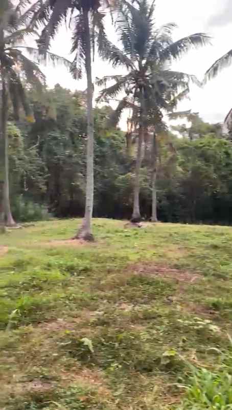 dijual tanah jl raya denpasar gilimanuk