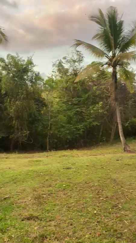 dijual tanah jl raya denpasar gilimanuk