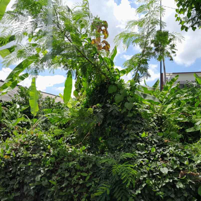 dijual tanah jl veteran