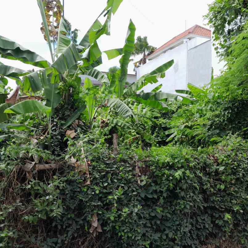 dijual tanah jl veteran