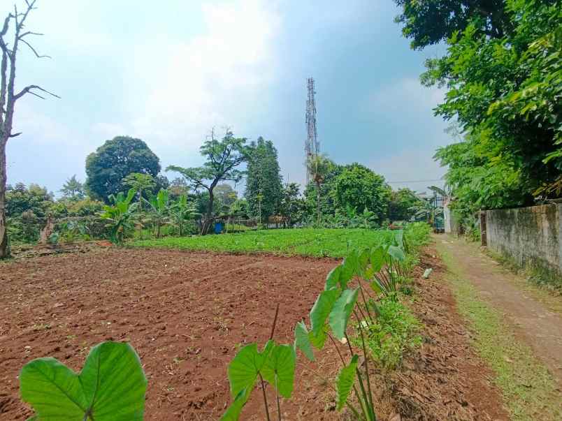 dijual tanah kali licin pitara depok