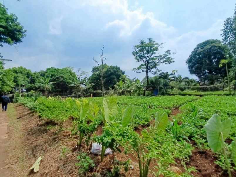 dijual tanah kali licin pitara depok