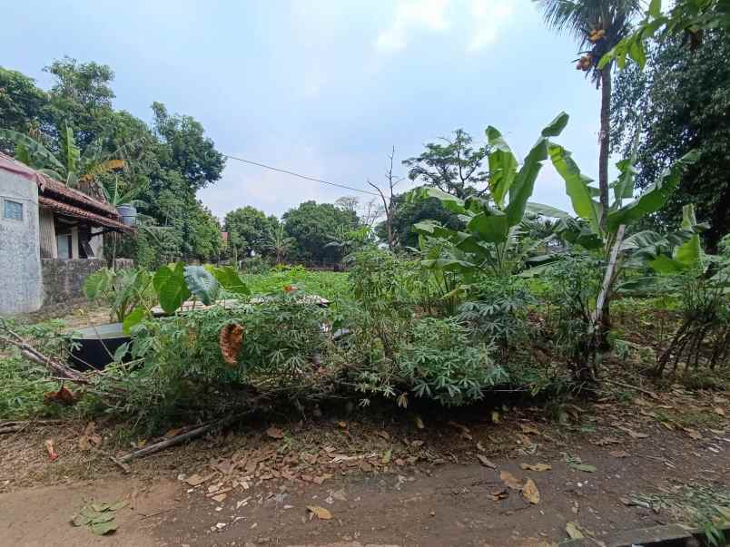 dijual tanah kalilicin