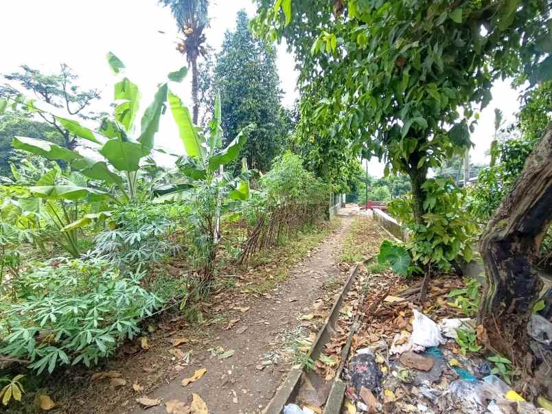 dijual tanah kalilicin