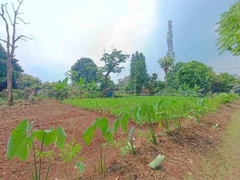 dijual tanah kalilicin