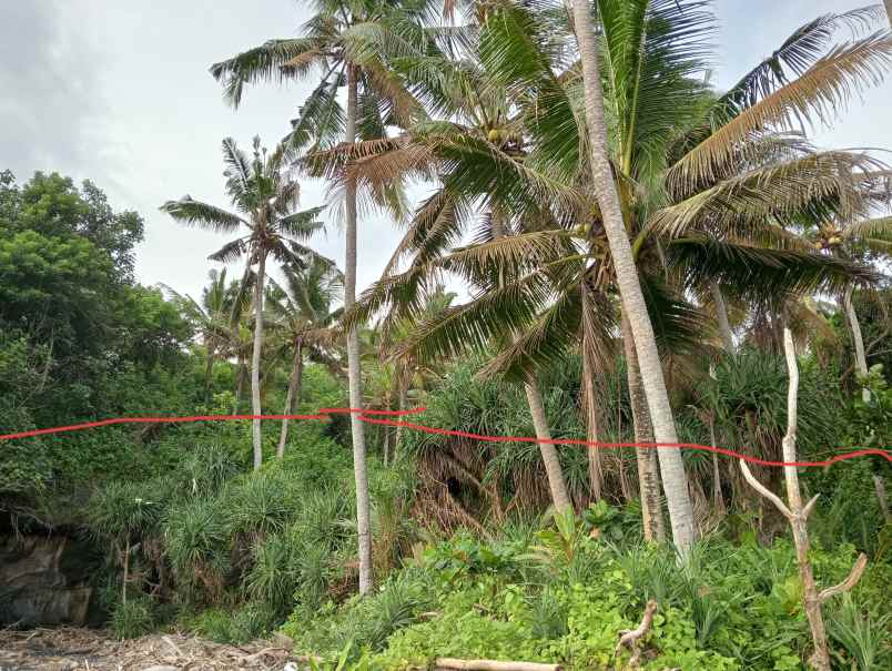 dijual tanah kebun los pantai tempat strategis