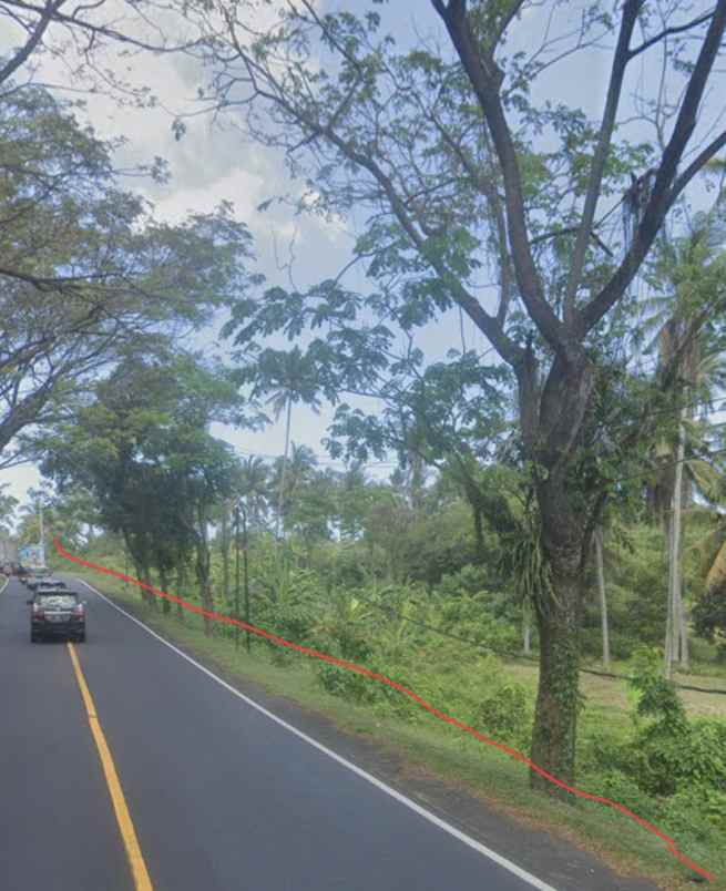 dijual tanah kebun los pantai tempat strategis