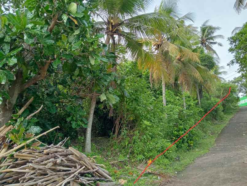 dijual tanah kebun los pantai tempat strategis