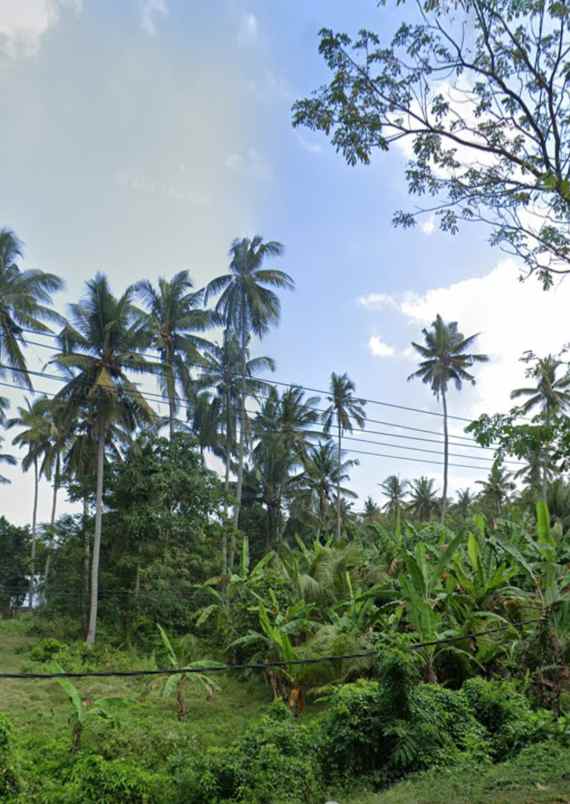dijual tanah kebun los pantai tempat strategis