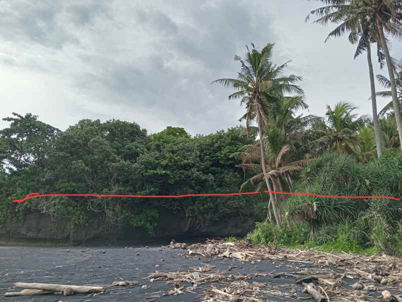 dijual tanah kebun los pantai tempat strategis