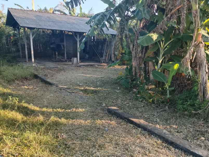 dijual tanah kelating tabanan bali