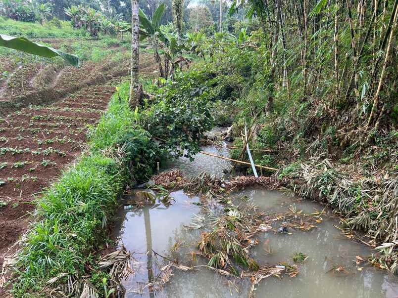dijual tanah kemuning ngargoyoso solo
