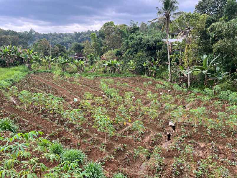 dijual tanah kemuning ngargoyoso solo