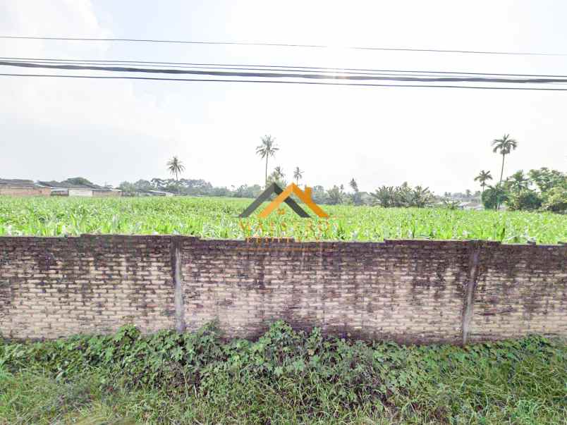 dijual tanah kosong tuntungan ii jalan danamon