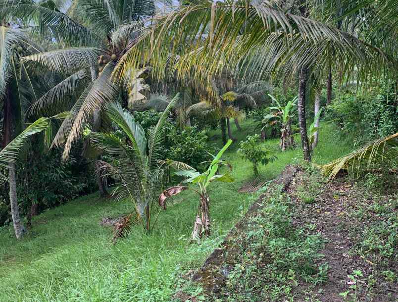 dijual tanah los sungai siap dibangun