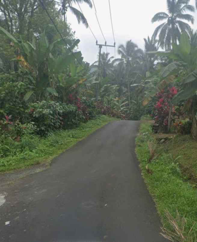 dijual tanah mundeh tabanan bali