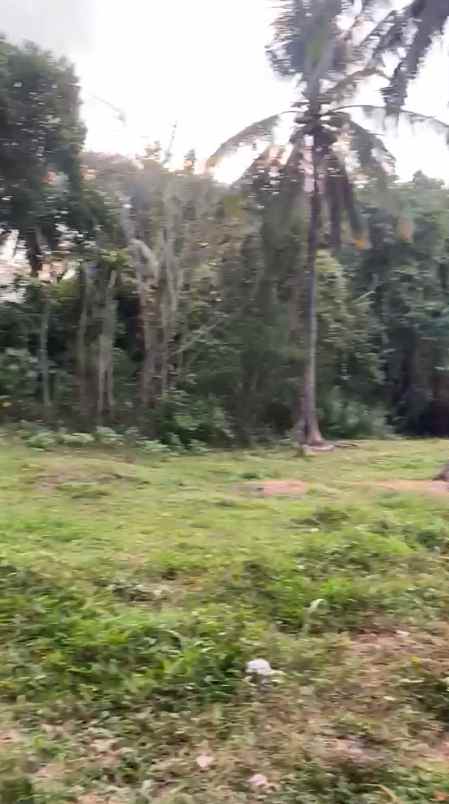 dijual tanah murah hanya 2 menit menuju pantai bonian