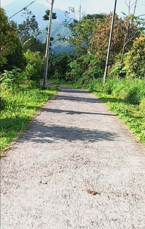 dijual tanah pegadungan sukasada