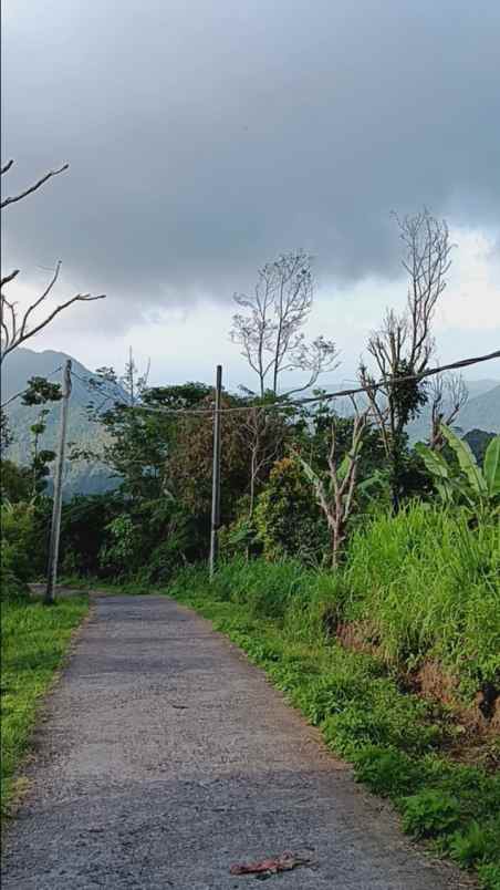 dijual tanah pegadungan sukasada