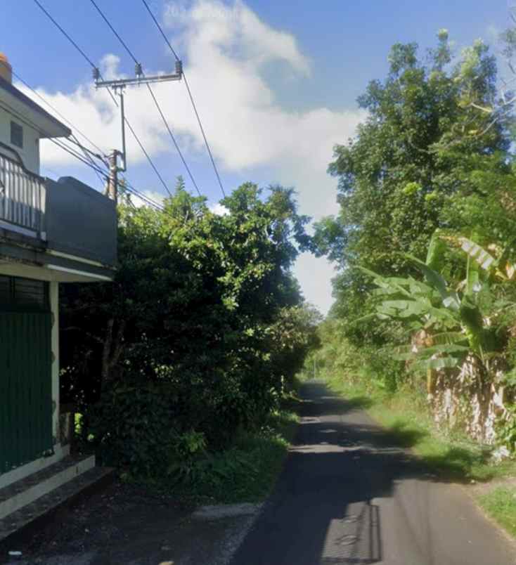dijual tanah pelaga badung bali