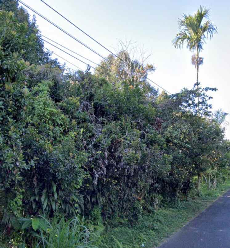 dijual tanah pelaga badung bali