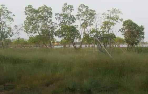 dijual tanah pertanian 3420 hektar karawang