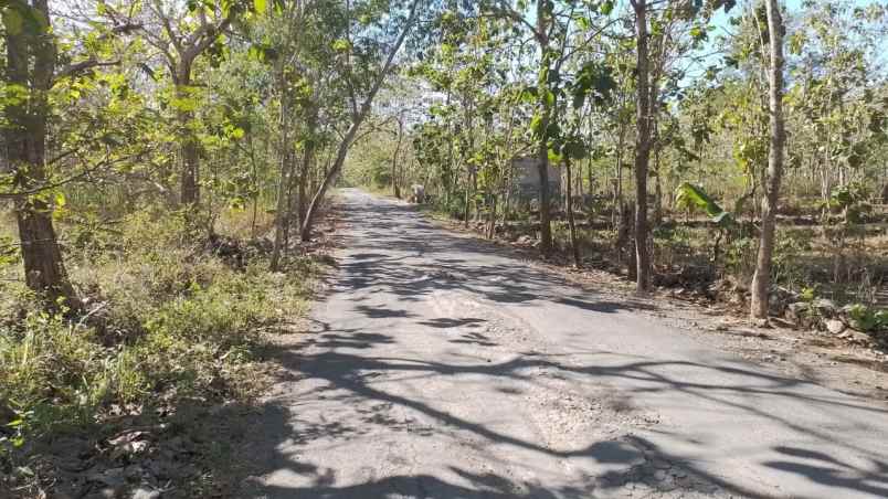 dijual tanah rejosari ngawis kec