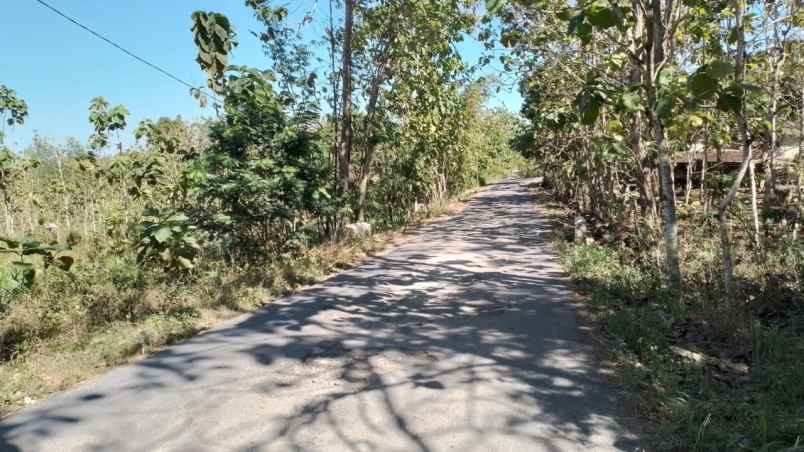 dijual tanah rejosari ngawis kec