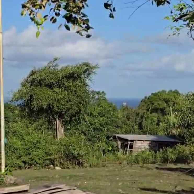 dijual tanah sawangan