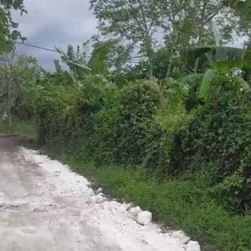 dijual tanah sedap malam