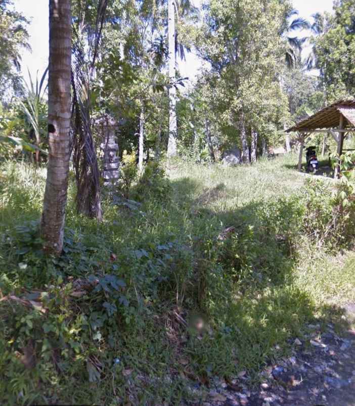 dijual tanah selemadeg tabanan bali