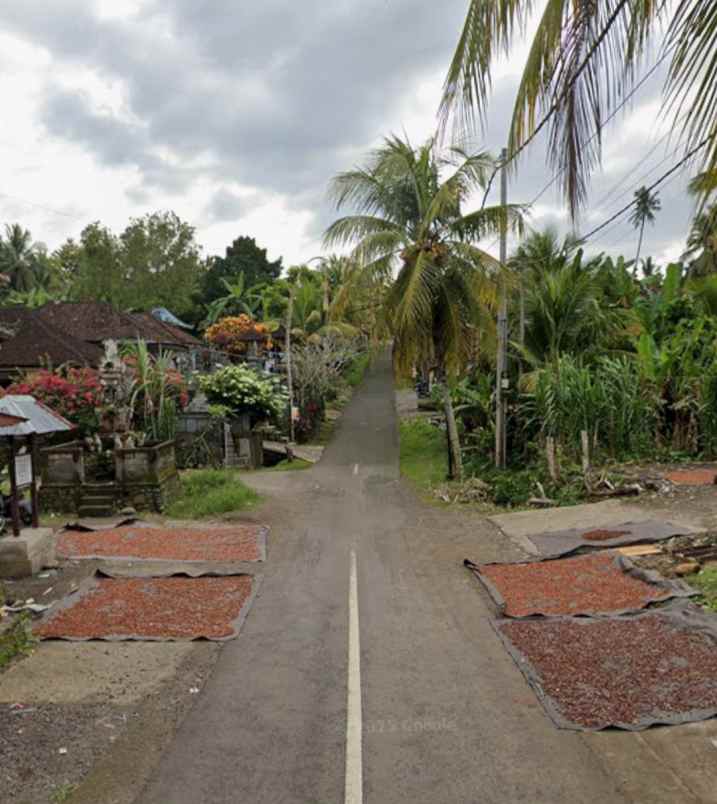 dijual tanah selemadeg tabanan bali