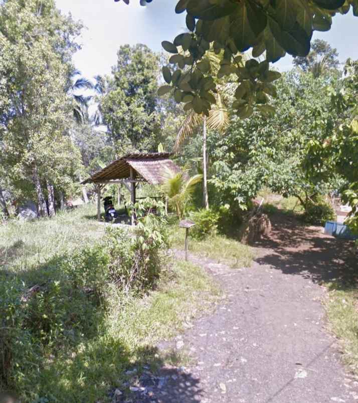dijual tanah selemadeg tabanan bali