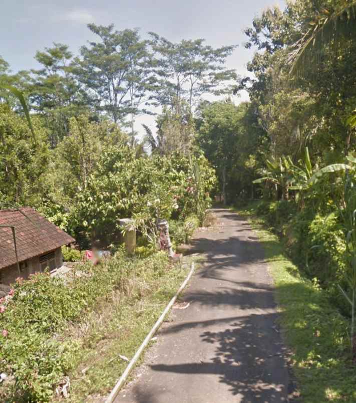 dijual tanah selemadeg tabanan bali