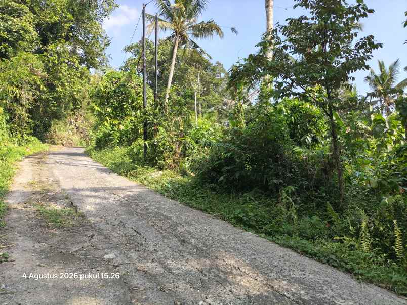 dijual tanah selemadeg timur tabanan bali