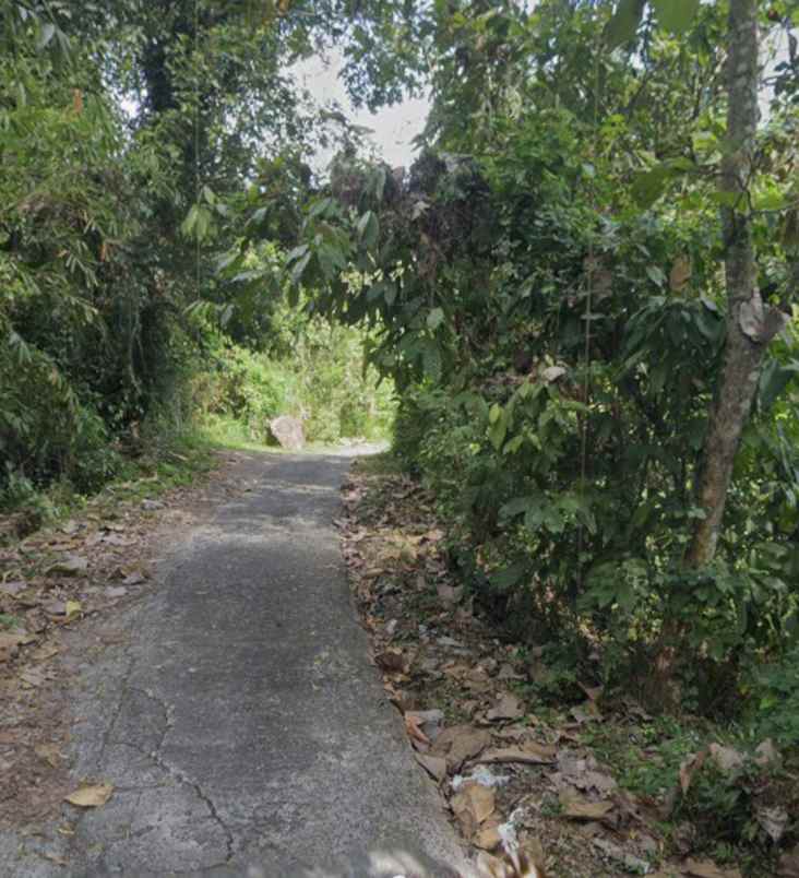 dijual tanah selemadeg timur tabanan bali