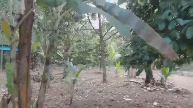 dijual tanah selemadeg timur tabanan bali