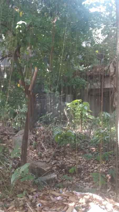 dijual tanah tanah sereal jawa barat