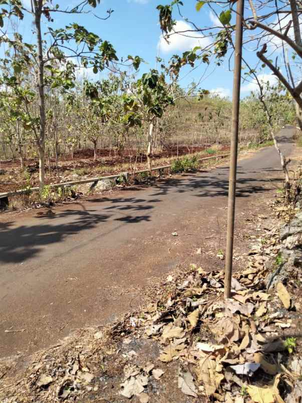 dijual tanah umbulrejo kec ponjong