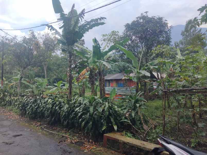 dijual tanah view gunung di setia negara