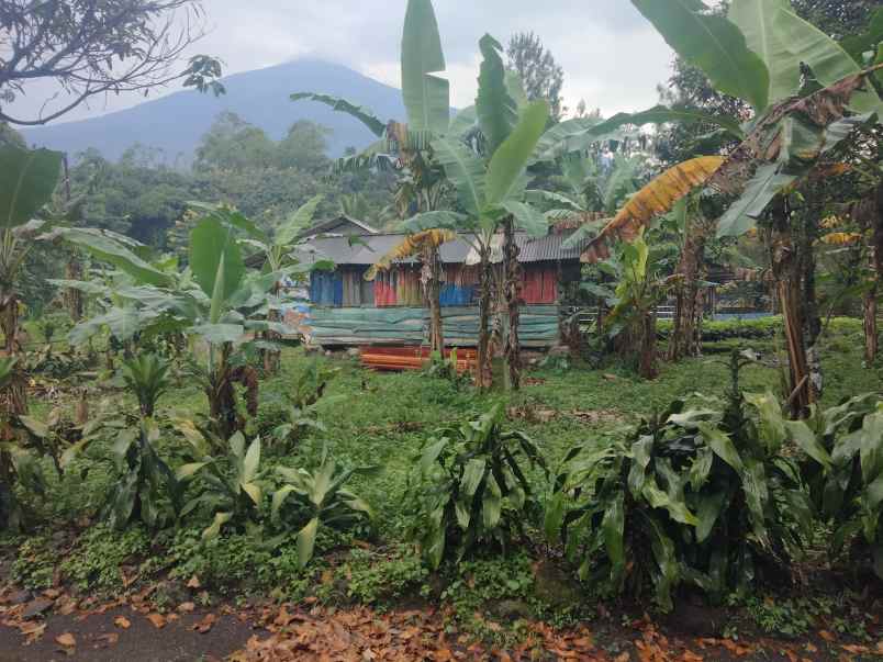 dijual tanah view gunung di setia negara