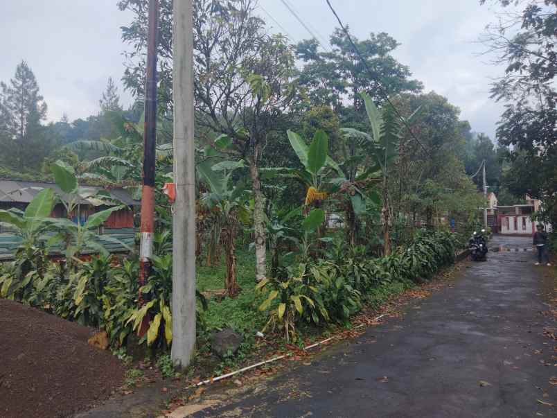 dijual tanah view gunung di setia negara