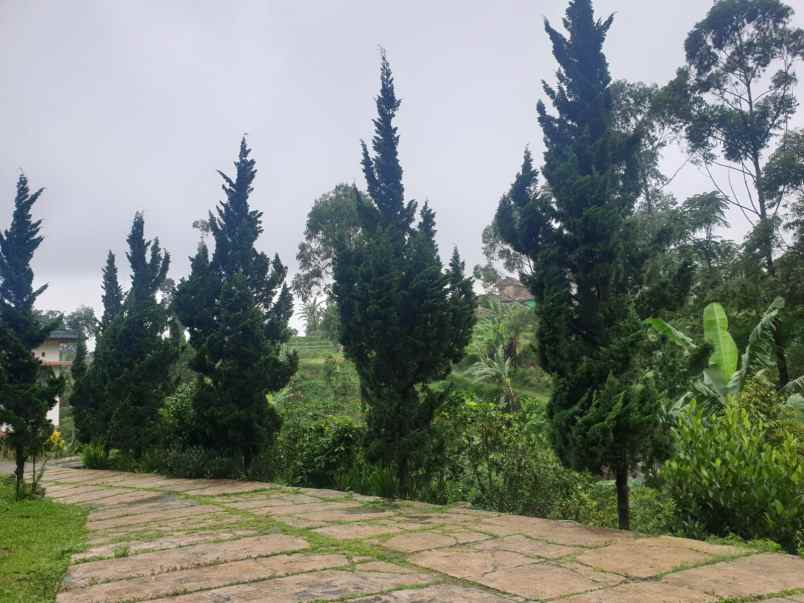 dijual villa desa panunndaan