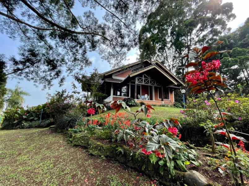Best Price Villa Area Cisarua Bogor 20 Menit Dari Taman Safari