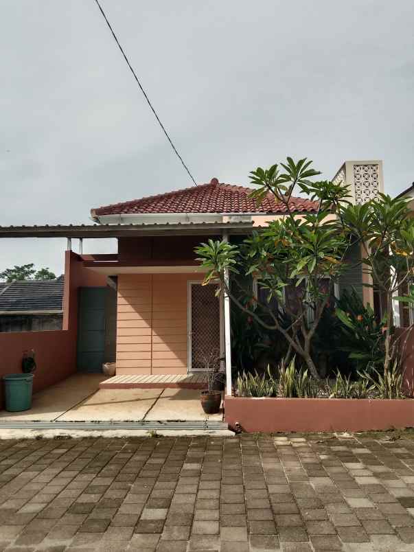 disewakan rumah jln alternatif bic desa