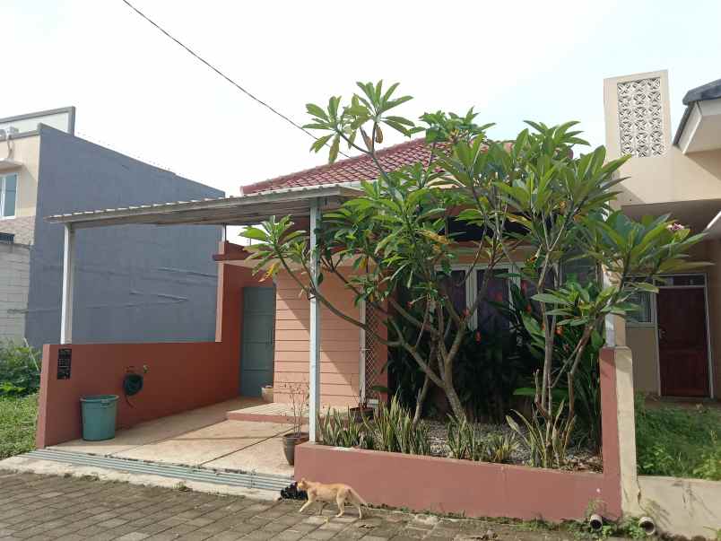 disewakan rumah jln alternatif bic desa