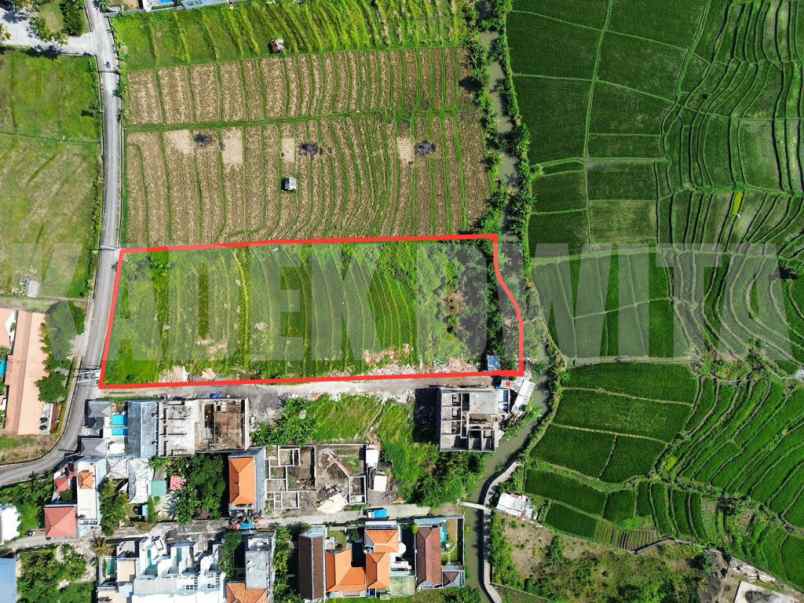 disewakan tanah jalan abasan