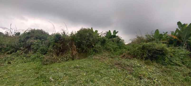 disewakan tanah jalan platon pematang